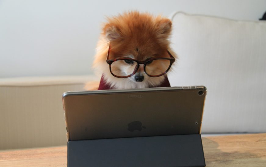 ¿Cuáles son las características que debe tener la computadora de un estudiante?