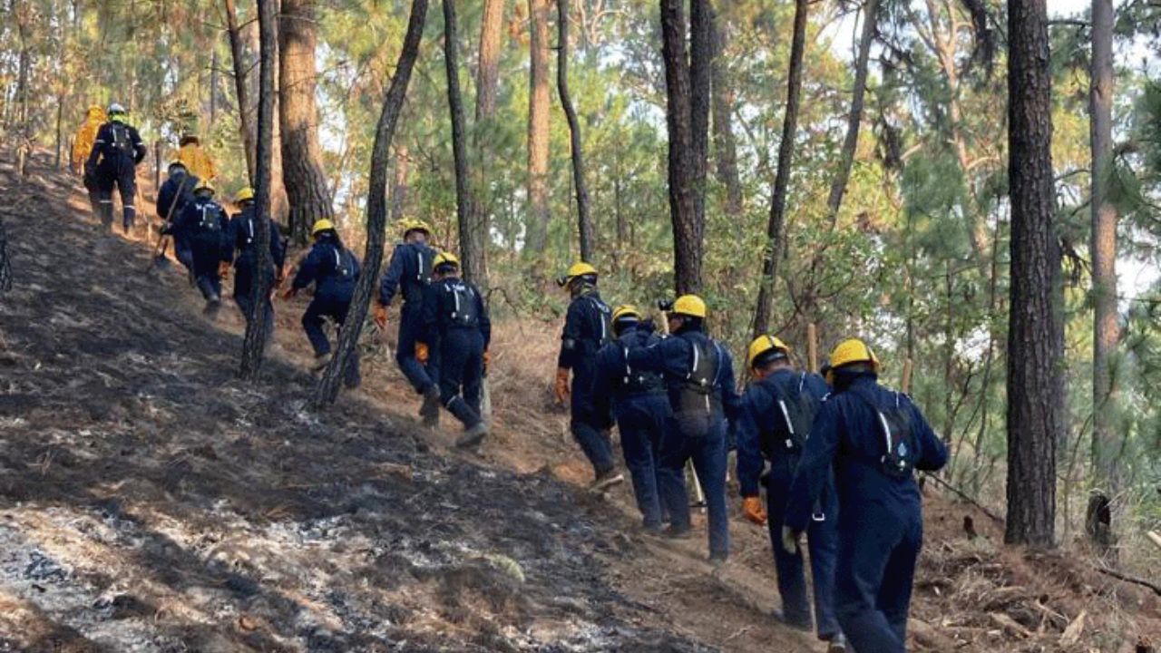 Activan Plan Marina por incendios forestales en Valle de Bravo