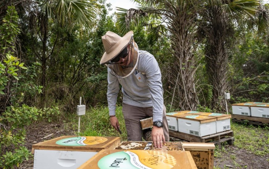 Tío Nacho refuerza su compromiso con la protección de las abejas