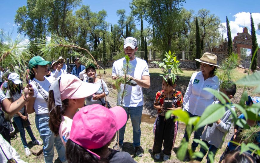 Arranca PVEM gira de agradecimiento y reforestación de más de 700 mil árboles, uno por cada voto obtenido