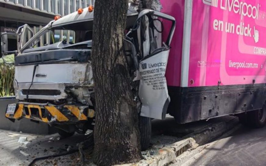 Camión de carga da volantazo y choca contra un árbol en Periférico Sur