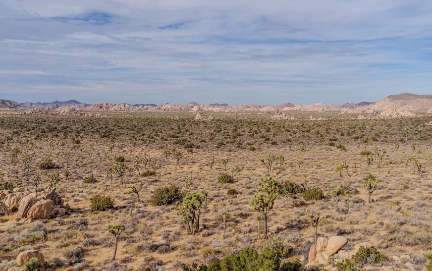 Localizan a tres migrantes que murieron deshidratados en el desierto de Sonora