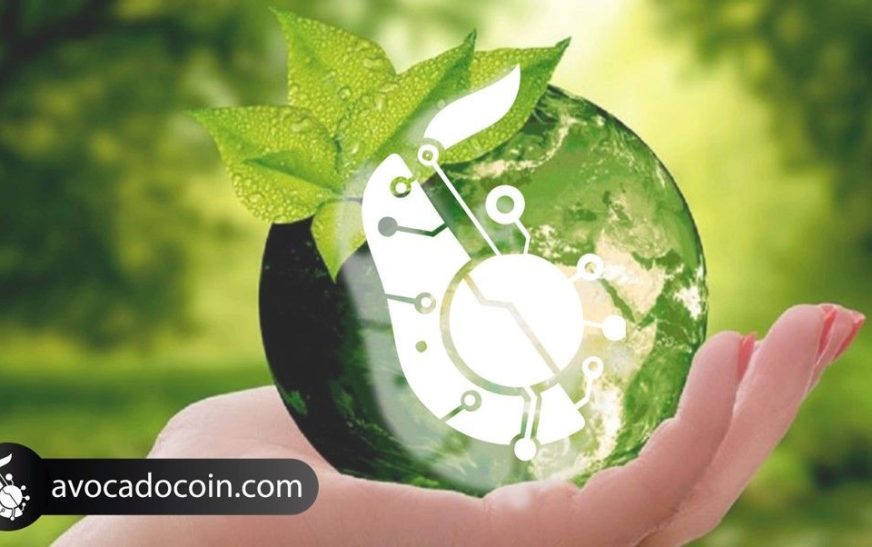 AvocadoCoin facilita la agricultura sostenible de aguacates a nivel global