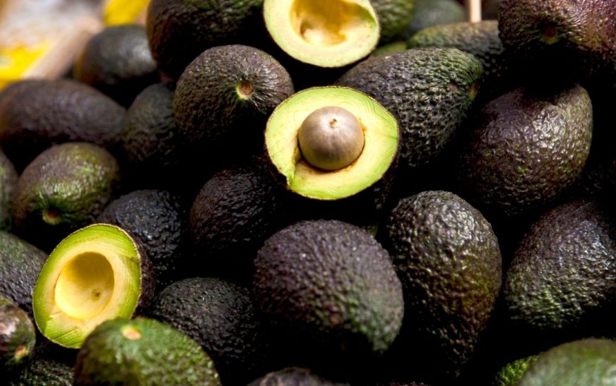 Ofrece AMLO proteger a inspectores de EUA para resolver bloqueo a aguacate y mango