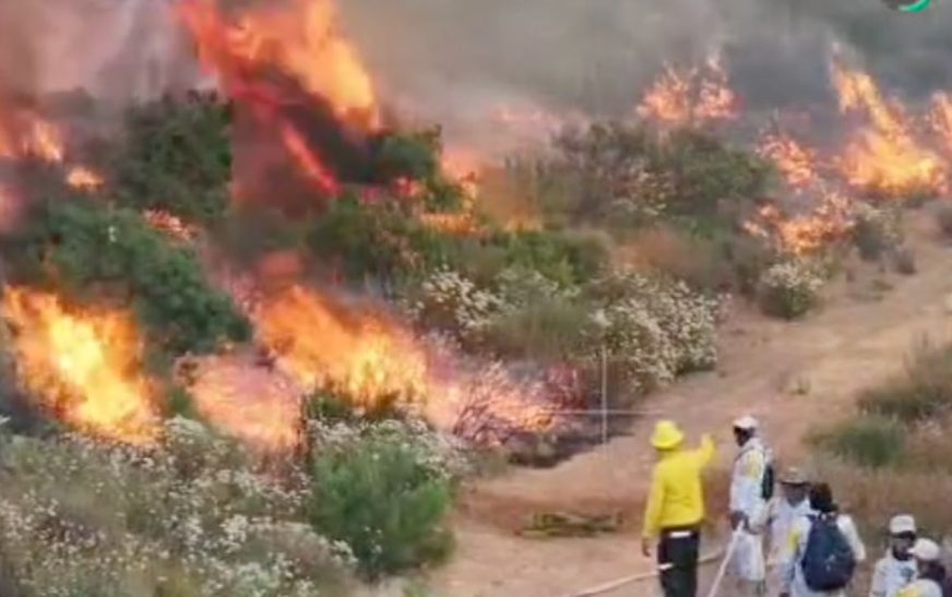 Incendio en Valle de Guadalupe afecta más de 800 hectáreas