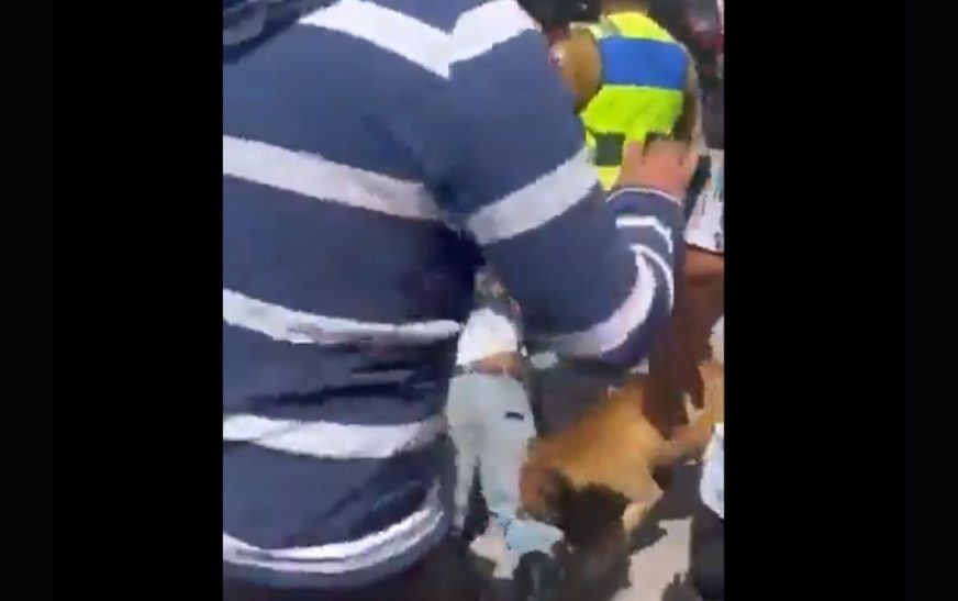 Perrito agarra a mordidas a ladrón que recibió paliza en Tecámac