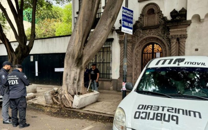 Aseguran restos de animales exóticos en casa de la Cuauhtémoc; hay dos detenido