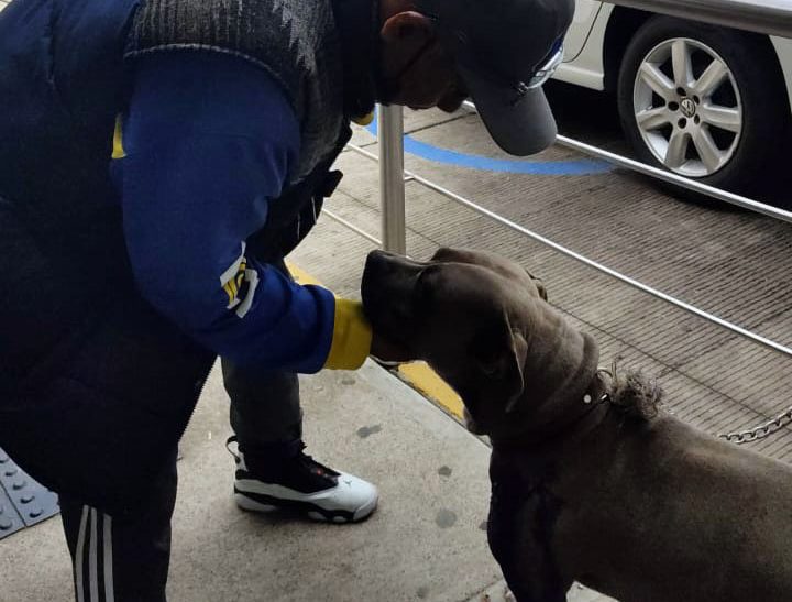 Lo atacó su padrastro con un puñal e hirió a su perro