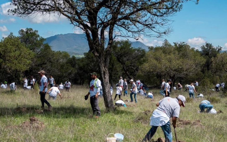 Impulsan conservación ambiental en Tlaxcala, con partición de empresas y ciudadanía