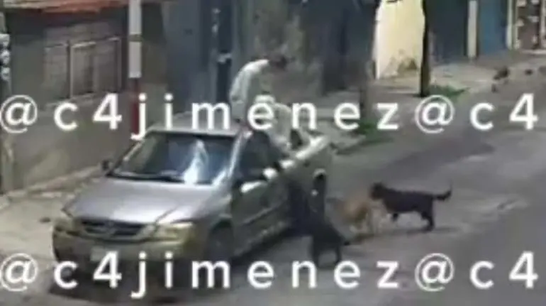 Joven es perseguido por jauría de perros en Tláhuac; así reacciona