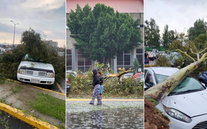 Suspenden clases en FES Aragón tras tormenta y caída de árboles