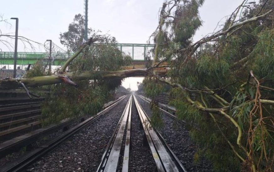 Suspenden servicio de la Línea B por árboles caídos sobre las vías