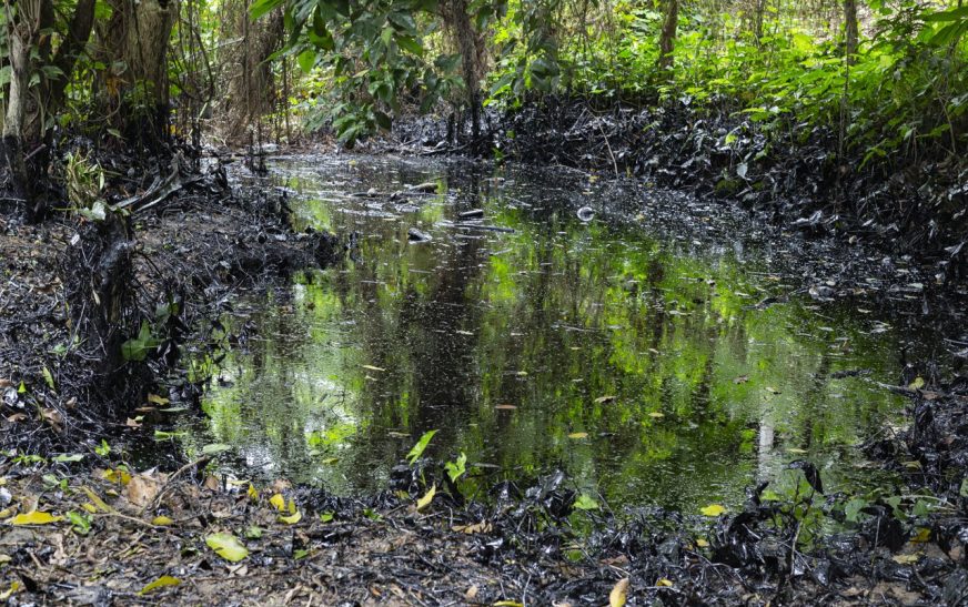 Por contaminación  de petróleo, exigen justicia indígenas de Veracruz y ambientalistas  