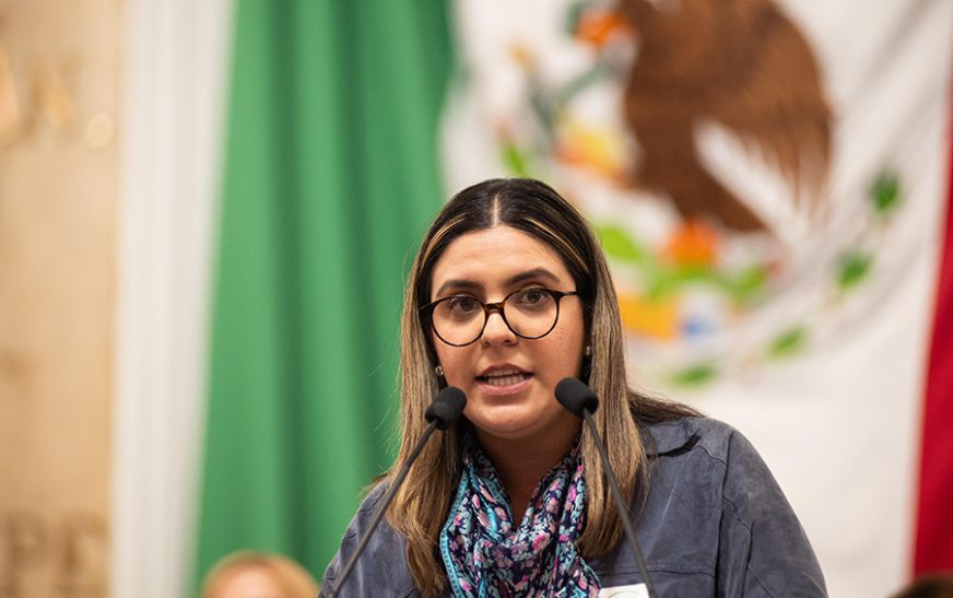 La lucha contra la violencia de género no debe ser usada para fines políticos: Cecilia Vadillo Obregón