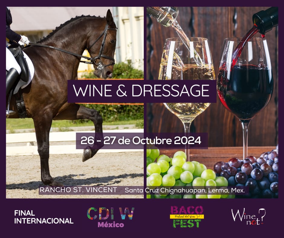 26 y 27 de Octubre  Wine & Dressage: Un Fin de Semana Inolvidable de Vinos, Caballos y Cultura