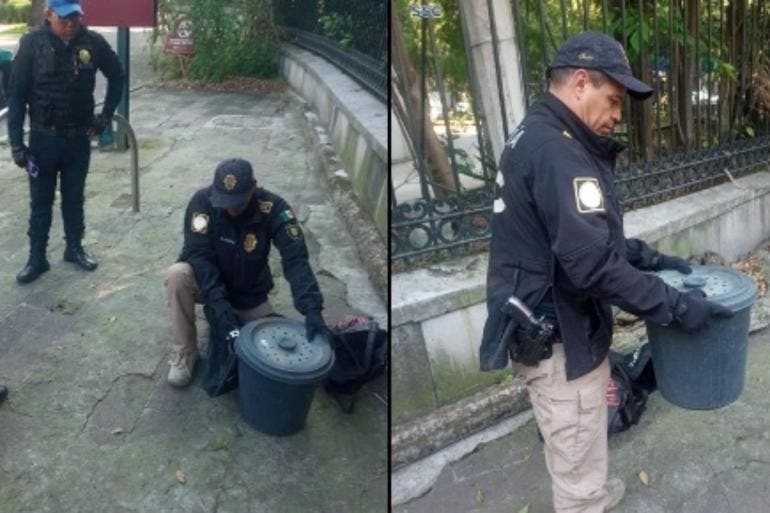 Hallan serpiente de cascabel en el Bosque de Chapultepec, BVA la resguarda