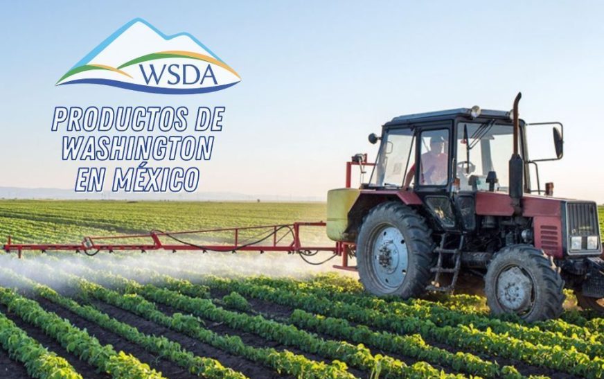 Los mejores productos de Washington llegan a México