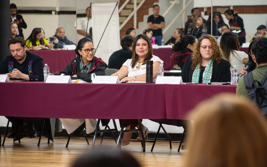 Encabeza Lourdes Paz instalación de Mesa Interinstitucional para prevenir adicciones