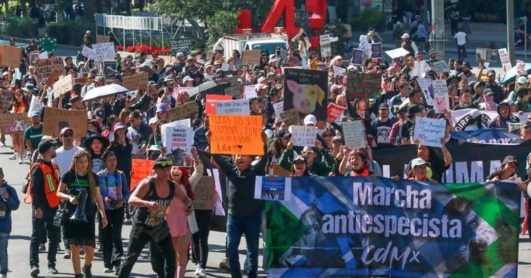 ‘Veganismo o extinción’, marchan contra consumo de carne y maltrato animal