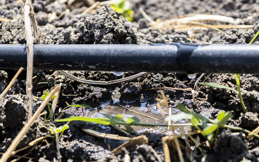 Los agricultores: protagonistas de la gestión hídrica frente al cambio climático