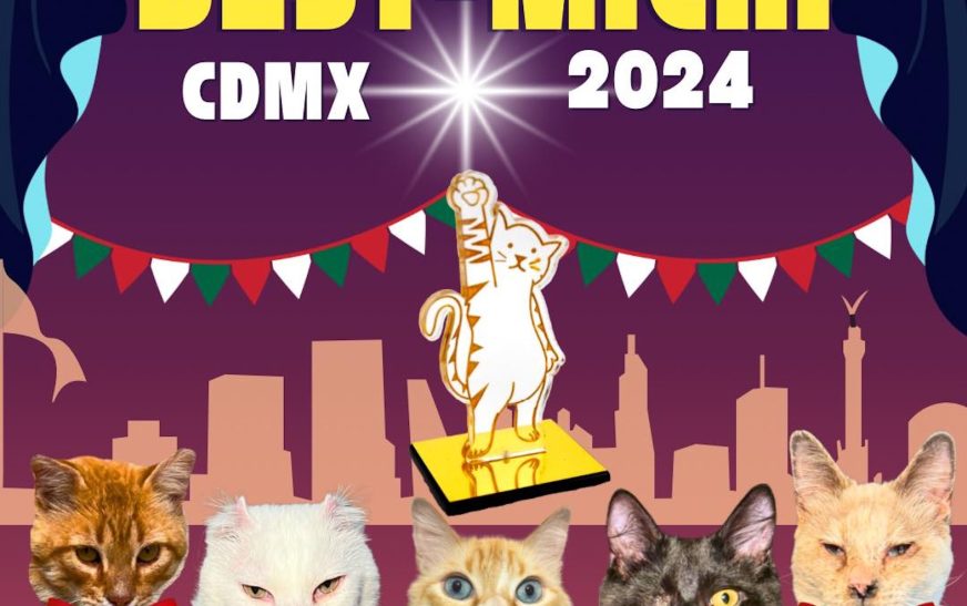 La primera edición de los Premios Best Michi en CDMX se realizará el 15 de diciembre ¡Adquiere tus boletos y apoya a refugios de gatos!