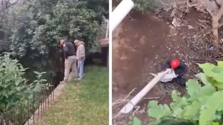 Policías salvan a dos cachorros de una barranca en Álvaro Obregón