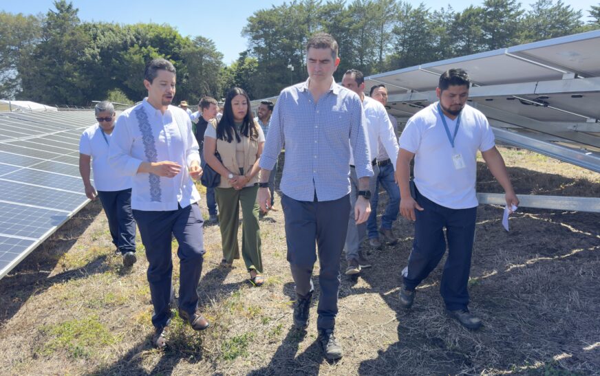 Bayer impulsa la sostenibilidad con nueva planta solar en su sitio de producción de semillas en Chiapas