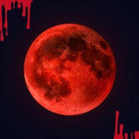 ¿Te perdiste la Luna de Sangre?