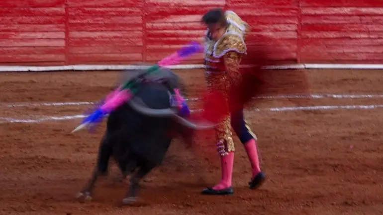 Sector taurino pide diálogo ante propuesta de corridas de toros ‘sin violencia’