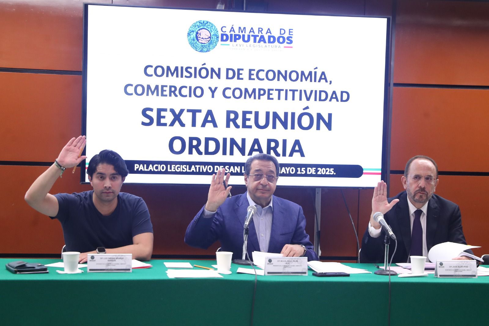 Comisión aprueba dictámenes para mejorar procesos de Mipymes y Sociedades de Responsabilidad Limitada de Interés Público