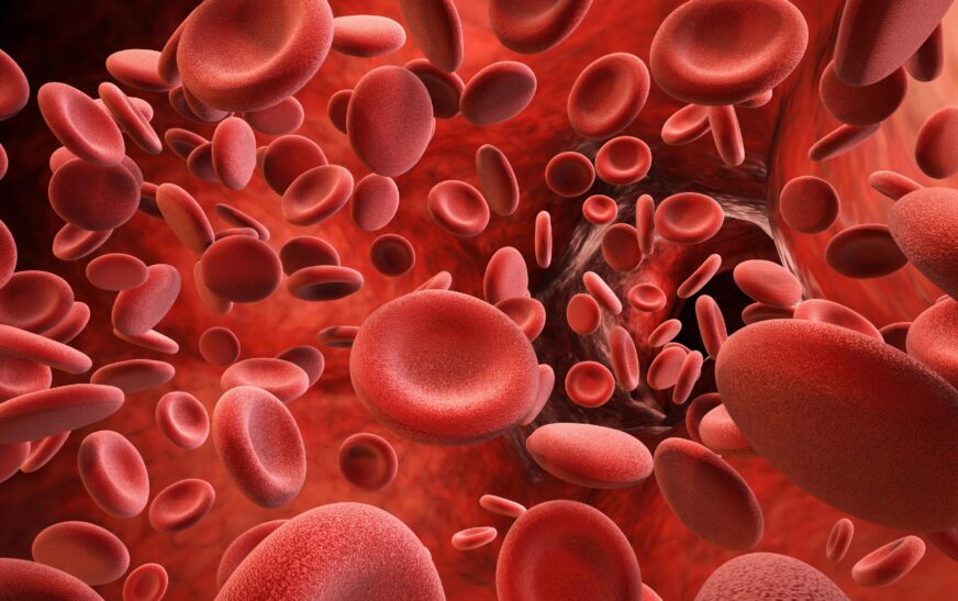 7 de cada 10 personas que viven con hemofilia no han sido diagnosticados