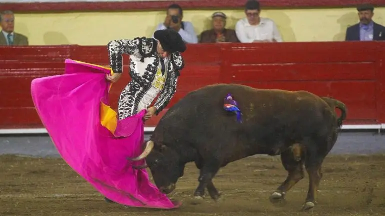 Inviable realizar ‘corridas sin sangre’ en la CDMX: Plaza de Toros México