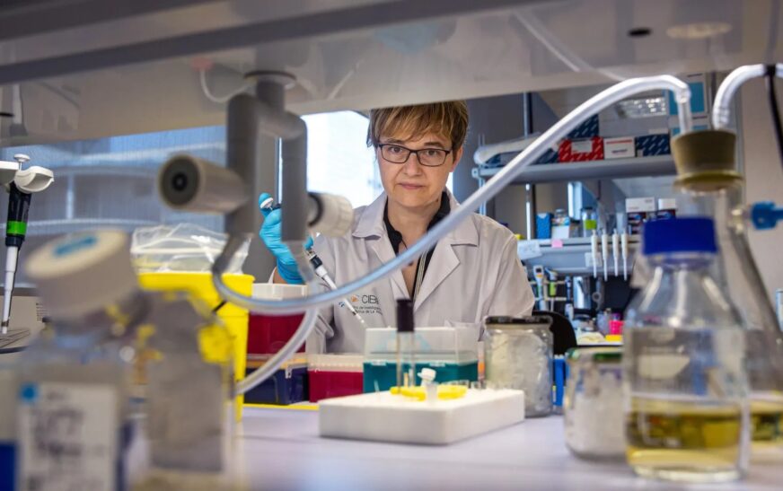 Los científicos validan una nueva estrategia terapéutica para prevenir el Parkinson