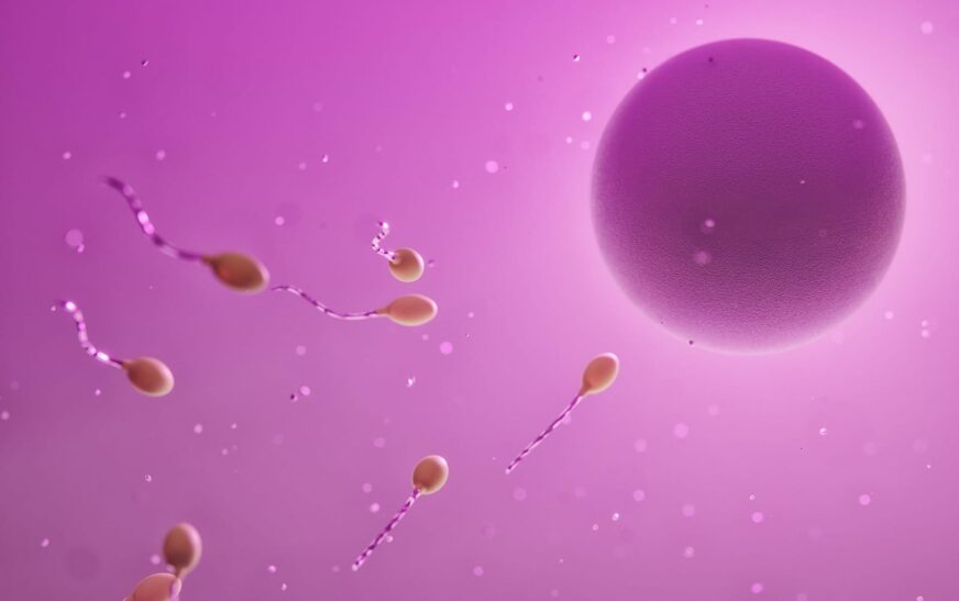 47 años de Fecundación In Vitro, actualmente 4 mil nacimientos al año en México. El arte de disfrutar con estilo y sentido.