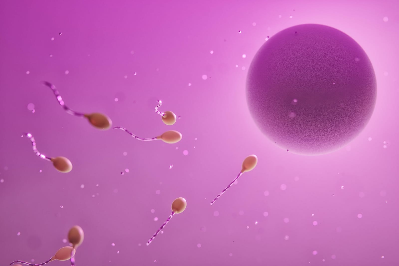 47 años de Fecundación In Vitro, actualmente 4 mil nacimientos al año en México. El arte de disfrutar con estilo y sentido.