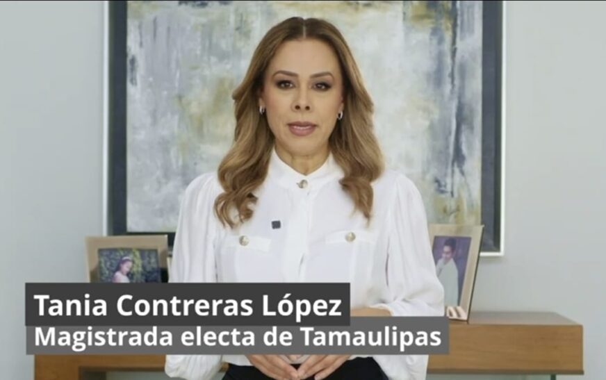Mauleón no defiende la libertad de expresión. Defiende su derecho a mentir: Tania Contreras