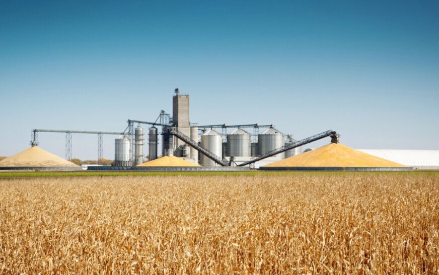 De promesa industrial a herida abierta: el caso MILLFOODS en Salamanca