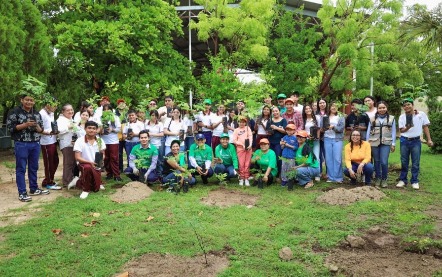 Iberdrola México planta 10,000 árboles en jornadas de voluntariado