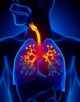 Innovación en el manejo de enfermedades respiratorias: inmunización y educación médica continua como ejes de transformación