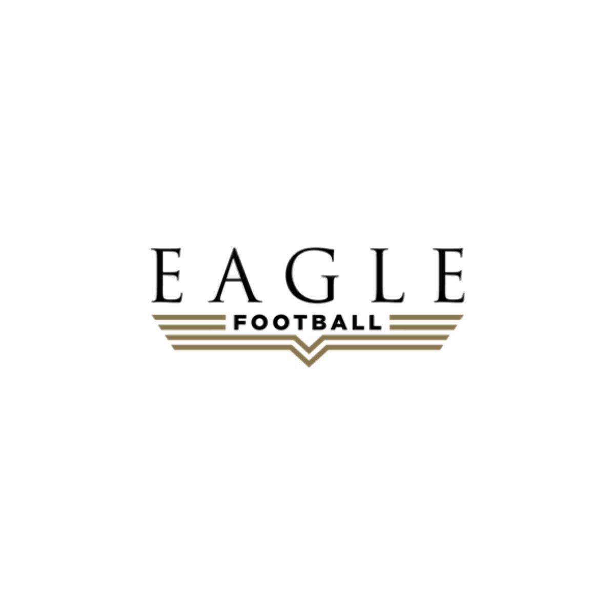 John Textor, Presidente Eagle Football, felicita al Olympique Lyonnais por su clasificación para Ligue 1