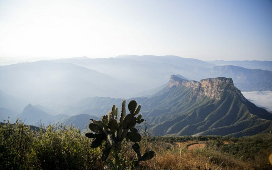Plata Investment: Plataforma de inversión en metales preciosos mexicanos