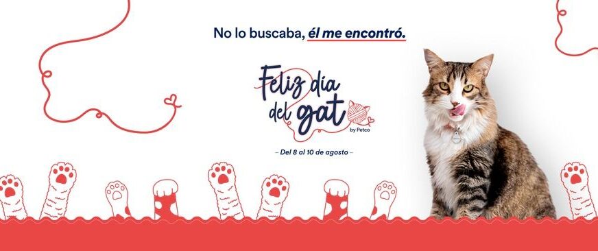 Día Internacional del Gato: PETCO reafirma su compromiso con el bienestar y el cuidado de los felinos