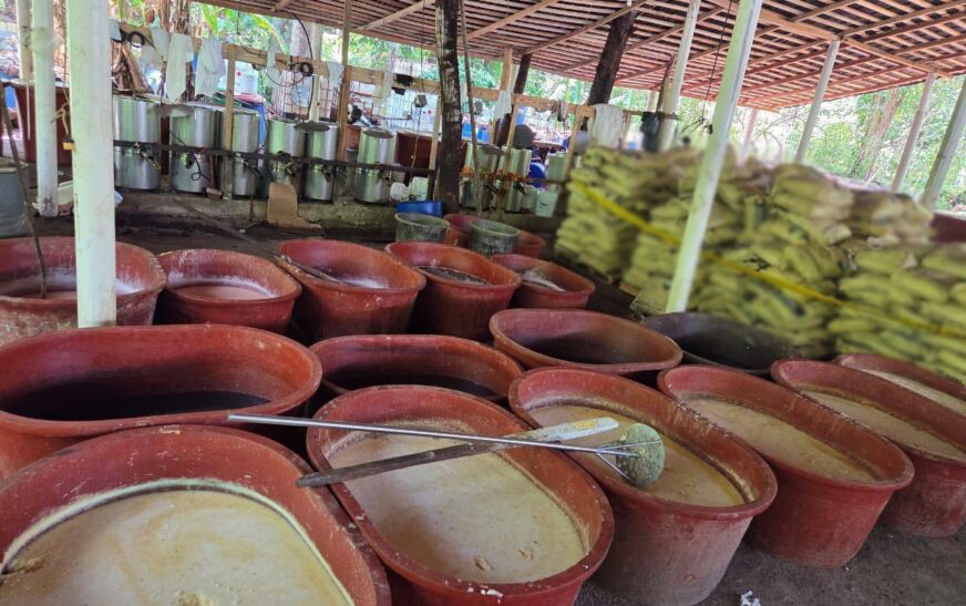 Harfuch confirma megadecomiso de 6 toneladas de drogas en Chiapas y Guerrero