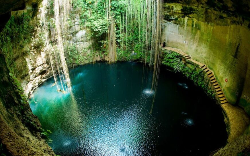 Cenotes sagrados de Yucatán: naturaleza viva de un legado maya
