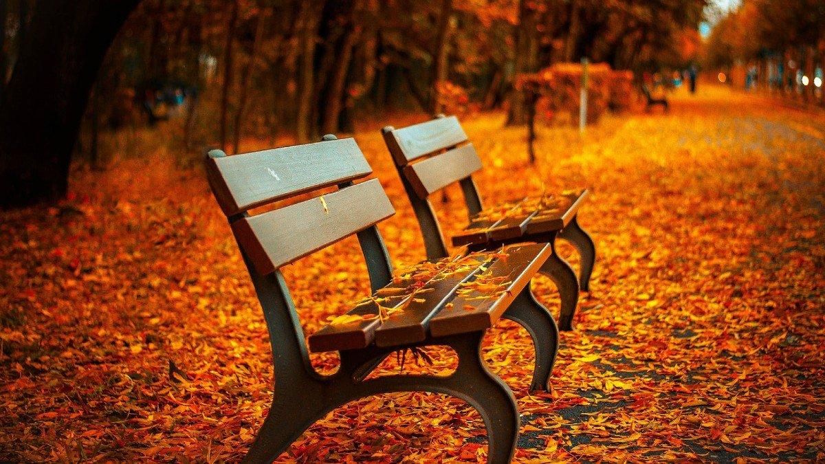 🌍🍂 El equinoccio de otoño 2025: el momento en que el día y la noche duran lo mismo 🍂🌍