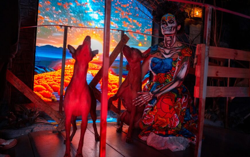 Regresa “Un Viaje al Mictlán” a la CDMX: la experiencia inmersiva premiada internacionalmente que revive el Día de Muertos
