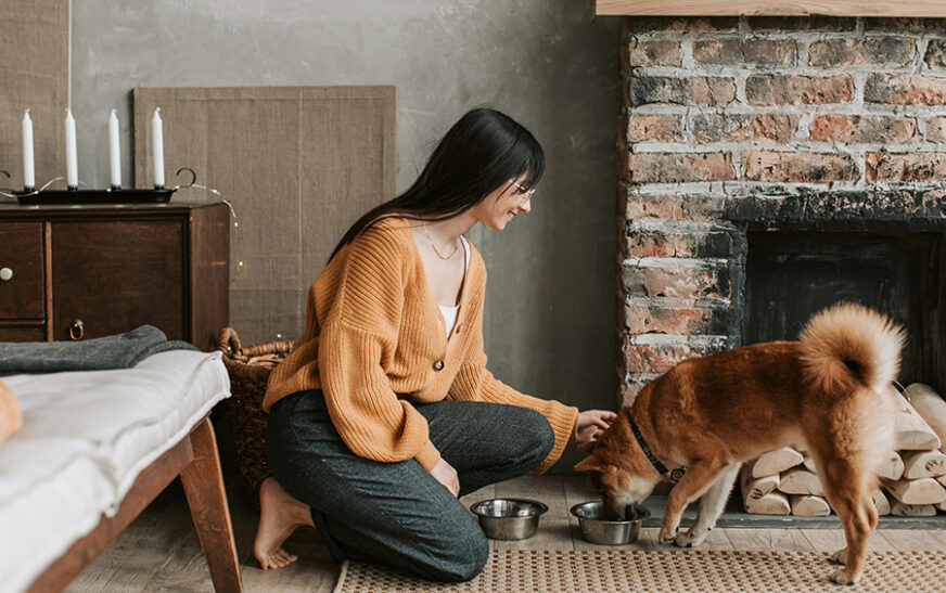 ¿Cómo fortalecer el vínculo con tu mascota? Más allá del cariño, un acto consciente