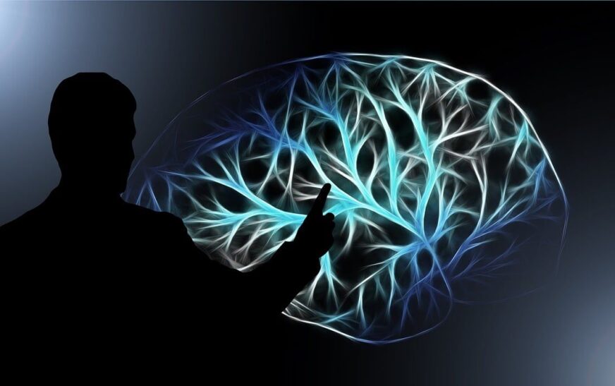 UDIT demuestra con evidencia neurocientífica que hablar más de un idioma modifica el cerebro