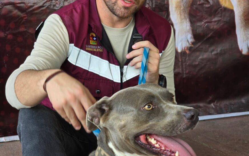 Óscar Rébora anuncia nuevas fechas de la Caravana de Bienestar Animal en Quintana Roo
