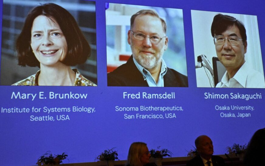 Brunkow, Ramsdell y Sakaguchi ganan Nobel de Medicina 2025 por descubrimientos sobre sistema inmunitario